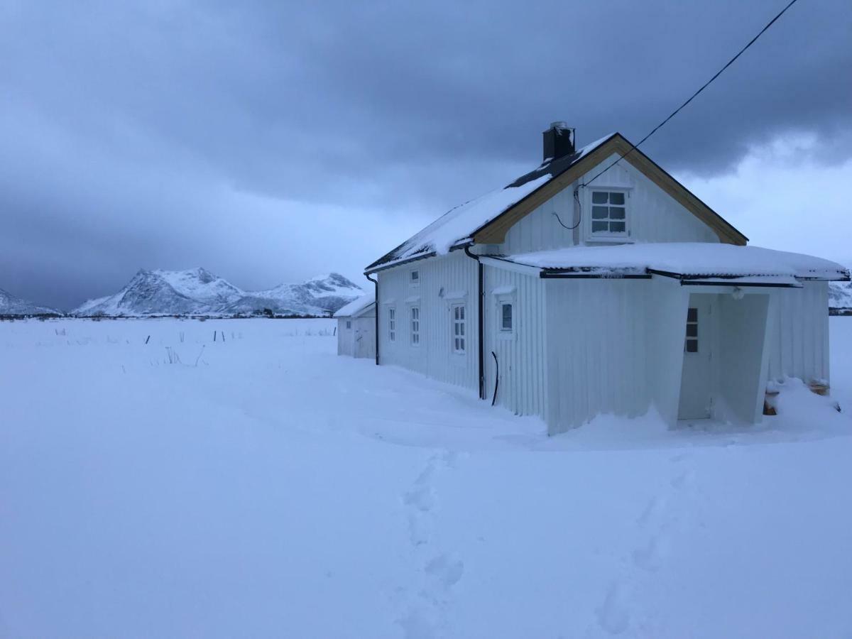 Narnia Lodge Lofoten Gimsoy Exteriér fotografie