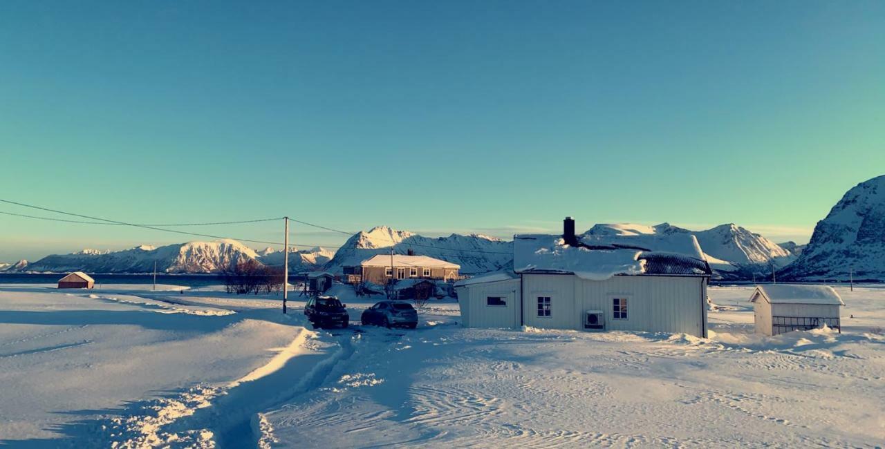 Narnia Lodge Lofoten Gimsoy Exteriér fotografie