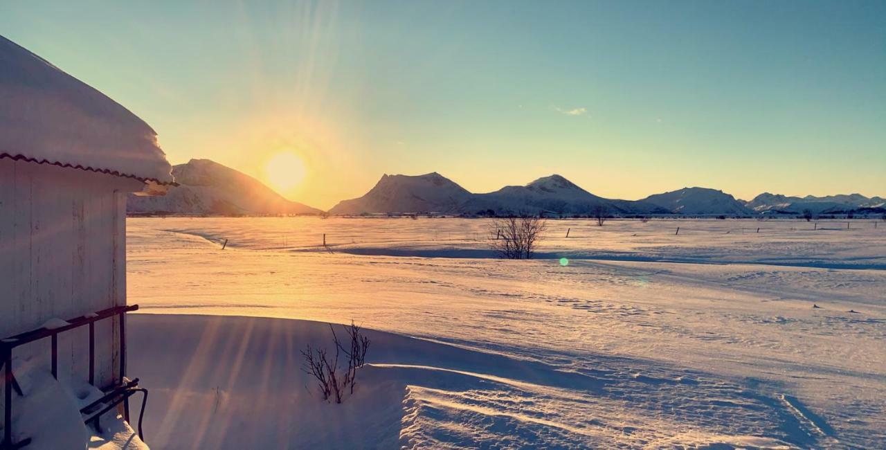 Narnia Lodge Lofoten Gimsoy Exteriér fotografie