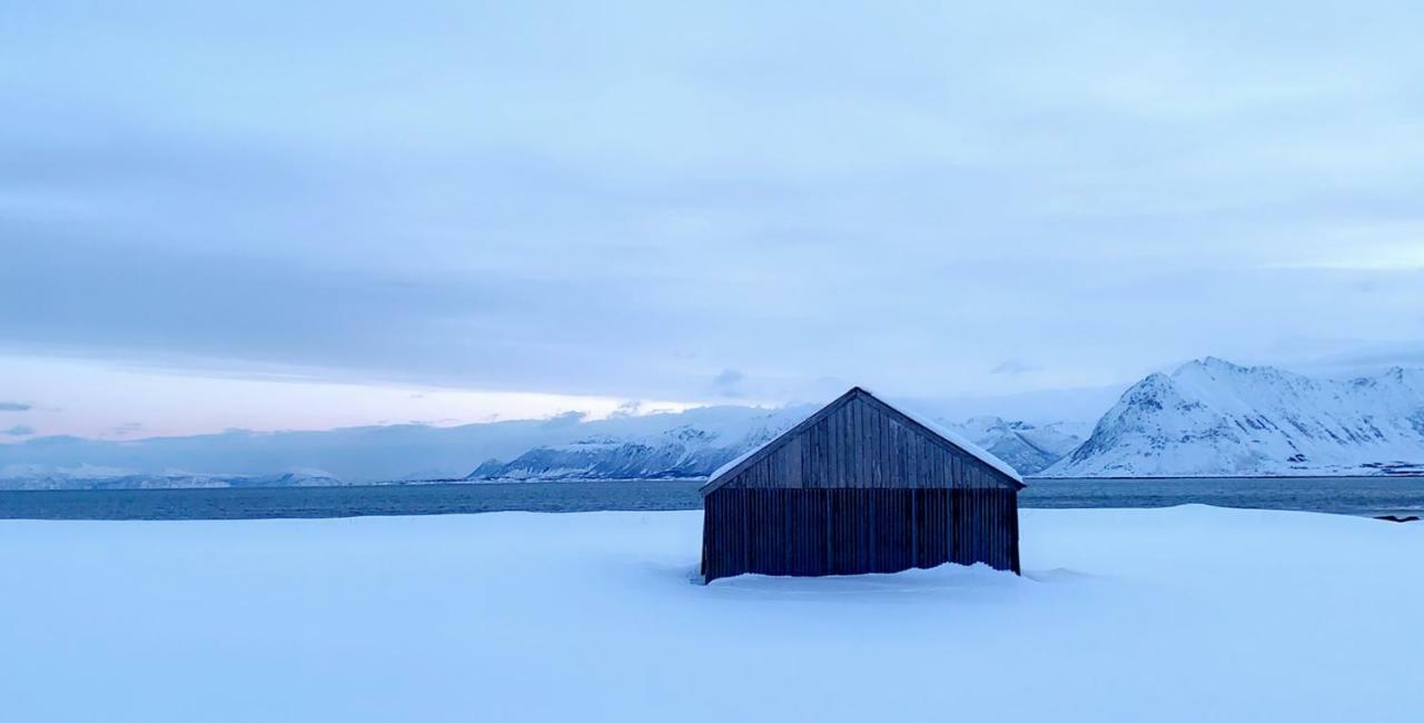 Narnia Lodge Lofoten Gimsoy Exteriér fotografie